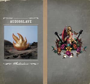 Like a Stone album art